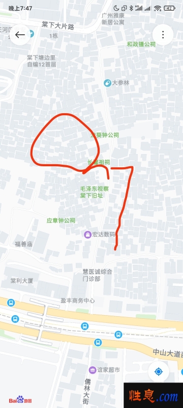 64810.jpg