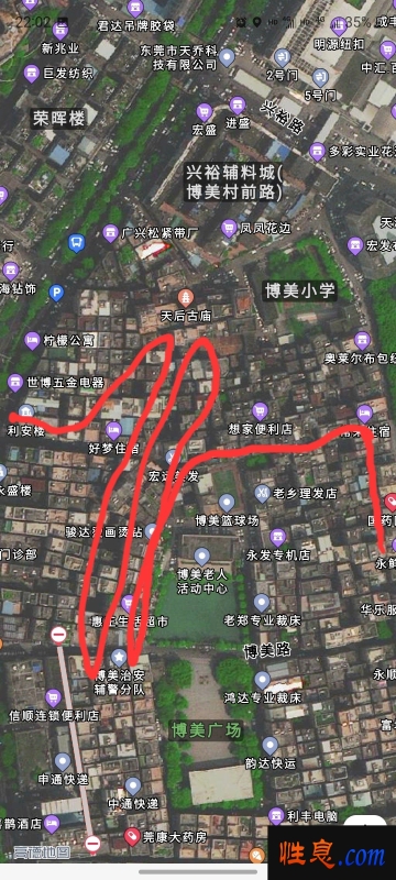 65263.jpg